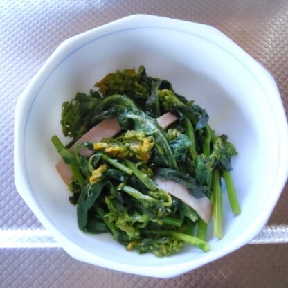 今回は辛子多めで作りました♪
nori-nokoさん春らしい美味しいレシピごちそう様です。